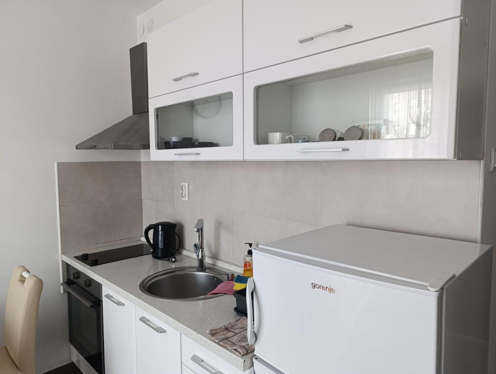 Nikola Ns Apartment Novi Sad Exterior foto